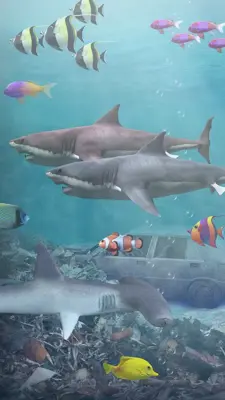 Shark aquarium android App screenshot 0