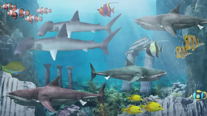 Shark aquarium android App screenshot 1