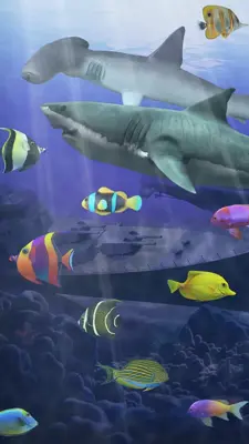 Shark aquarium android App screenshot 2