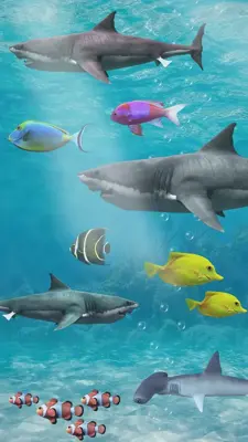 Shark aquarium android App screenshot 3