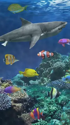 Shark aquarium android App screenshot 5