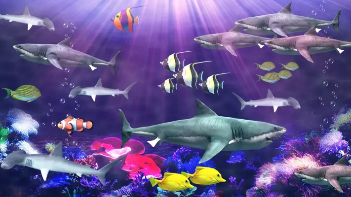 Shark aquarium android App screenshot 6