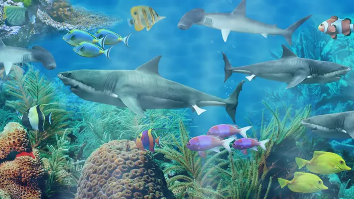 Shark aquarium android App screenshot 7